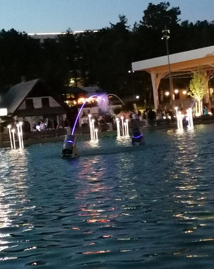 Готель Standardna Soba Zlatibor Centar 205 Екстер'єр фото